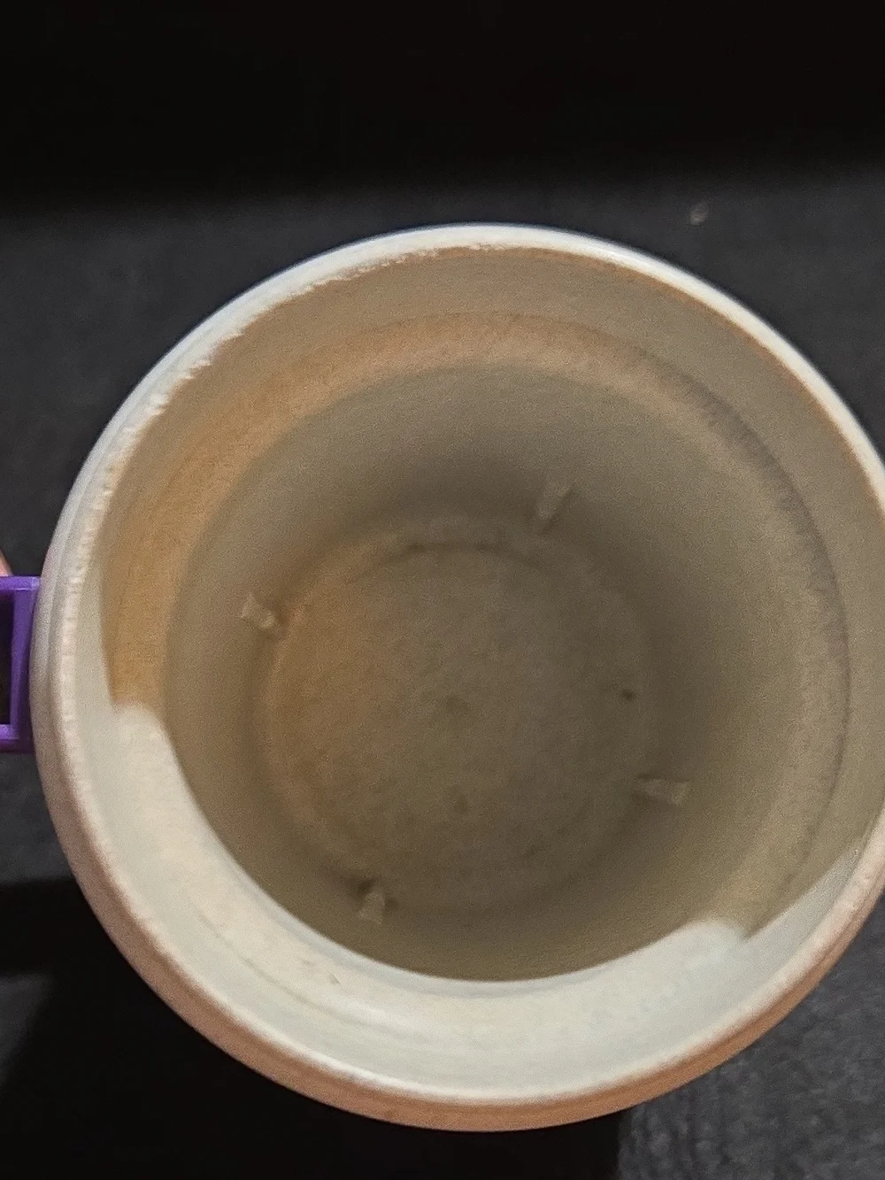 Vintage Budweiser Purple & Teal Party Mug